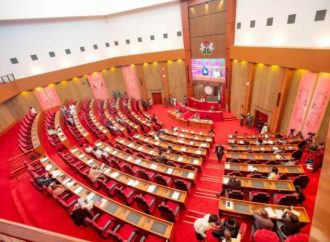 Major Defection Hits Senate As Nine Lawmakers Switch Parties