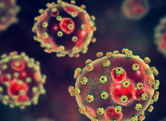 318 Lassa Fever Infections Confirmed As Fatalities Climb To 70