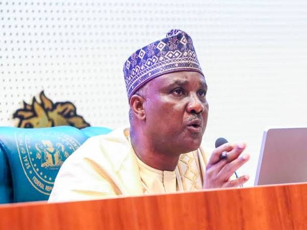 National Assembly Cuts Election Notice Period To 300 Days
