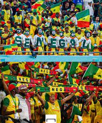 Morocco Moves To Jail Senegalese Supporters Over AFCON Crowd Trouble