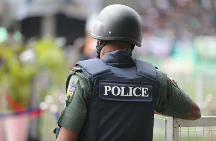 43-Year-Old Arrested After Beating Elder Brother To Death In Sepeteri