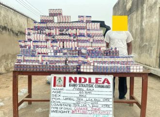 NDLEA Arrests Man With 1,499 Bottles Of Codeine Syrup In Kano