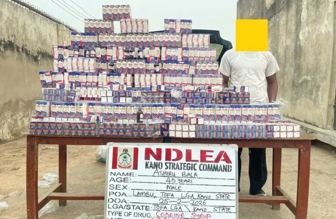 NDLEA Arrests Man With 1,499 Bottles Of Codeine Syrup In Kano