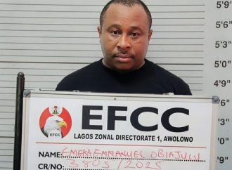 Court Sentences Obiajulu Emmanuel For Financial Crime
