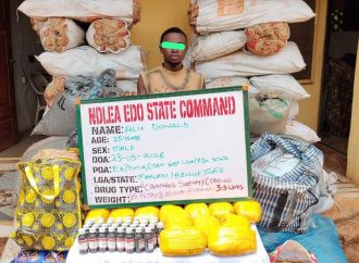 NDLEA Busts Drug Network, Seizes Cocaine Hidden in Dry Fish, Arrests Suspected Kingpins Nationwide