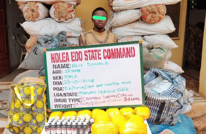 NDLEA Busts Drug Network, Seizes Cocaine Hidden in Dry Fish, Arrests Suspected Kingpins Nationwide