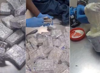 NDLEA Uncovers Widespread Drug Trafficking Network Across Nigeria