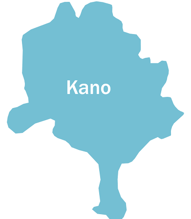 Tragedy as Woman Dies After Delivering Quintuplets in Kano