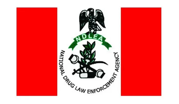 Cocaine Smuggling Plot Foiled At Abuja Airport
