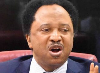 Shehu Sani Slams Opposition Senators’ Silence On Loans, Insecurity, Electoral Issues