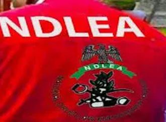 NDLEA Intercepts 7,245kg Cannabis in Two Trucks, Arrests Five Suspects in Edo