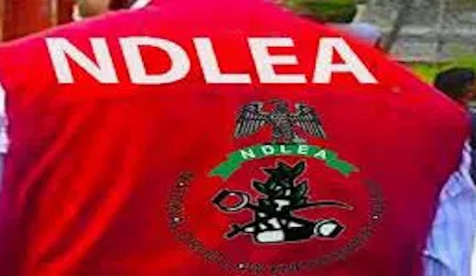 NDLEA Intercepts 7,245kg Cannabis in Two Trucks, Arrests Five Suspects in Edo