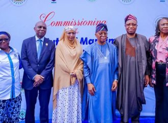 FG Launches NIMASA–UNILAG Maritime Institute to Drive Blue Economy Growth
