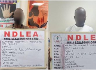 NDLEA Seizes Cocaine, Loud Hidden In Flasks, Snacks, Arrests Cargo Agents Nationwide