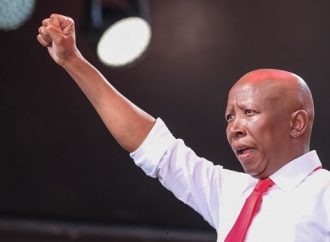 Malema Jailed Five Years Over 2018 Rifle Discharge Case
