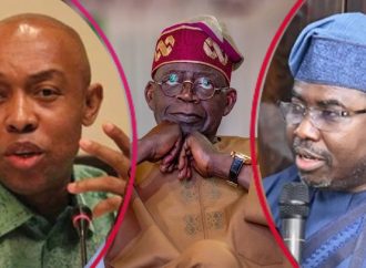 Odinkalu Alleges Presidency Pressured INEC, Triggering ADC Leadership Delisting