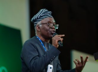 Falana Takes South Africa To African Rights Bodies Over Killings, Xenophobic Attacks On Nigerians