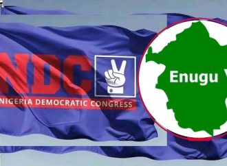 Enugu NDC Rejects Zoning, Opens Governorship Ticket To All Aspirants Ahead Of 2027