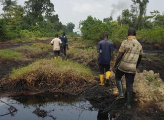 International Delegation Presses FG To Ensure IOCs Fulfil Niger Delta Cleanup Obligations