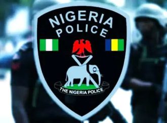 Police Caution Nigerians Against Retaliatory Attacks Over Xenophobia Reports In South Africa