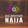 BBNaija Season 11 Auditions Incoming as Organisers Tease Return