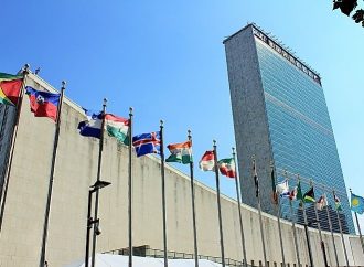 UN Experts Raise Alarm Over Alleged Rights Abuses Against Women and Girls in Nigeria