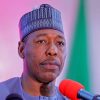 Zulum Reviews Seven Years In Office, Vows To Secure Lasting Peace In Borno Before Exit