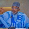 Kyari: Smallholder Farmers Produce 85% of Nigeria’s Food but Continue to Live in Poverty